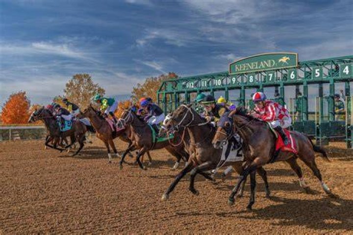 Best Els near Oaklawn Racing & Gaming