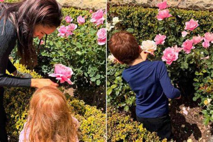 Best Lilibet Photo 2024: Royal Moments Captured
