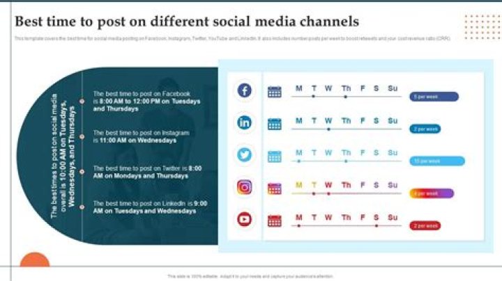 Cami Elliott: The Rising Star of the Social Media Landscape