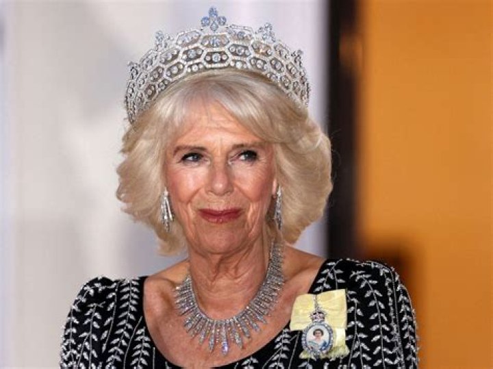 Camilla OnlyFans: An In-Depth Look at Her Journey and Impact