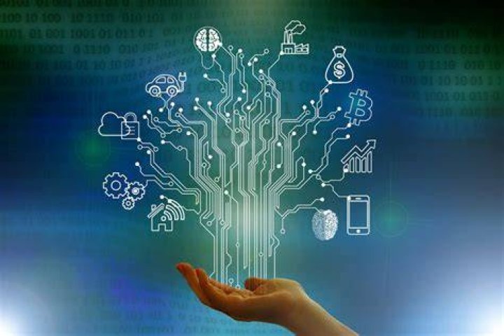 CBD SEO Companies: Unlocking the Potential of Your Business
