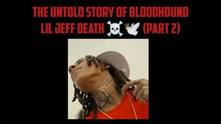 Celebrating the Unique Journey of Bloodhound Lil Jeff: A Birthday Tribute