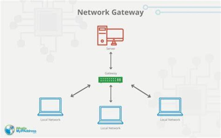 Denver Web Designers: Your Gateway to Exceptional Online Presence