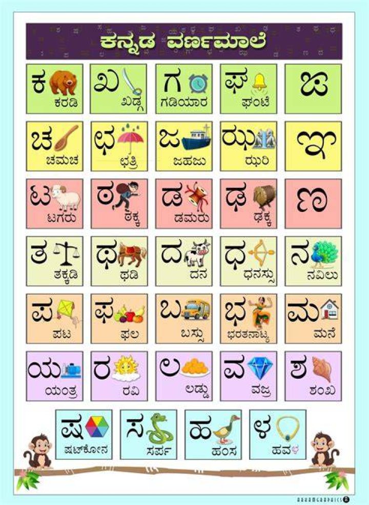 Discovering Rulz Kannada: A Cultural Phenomenon