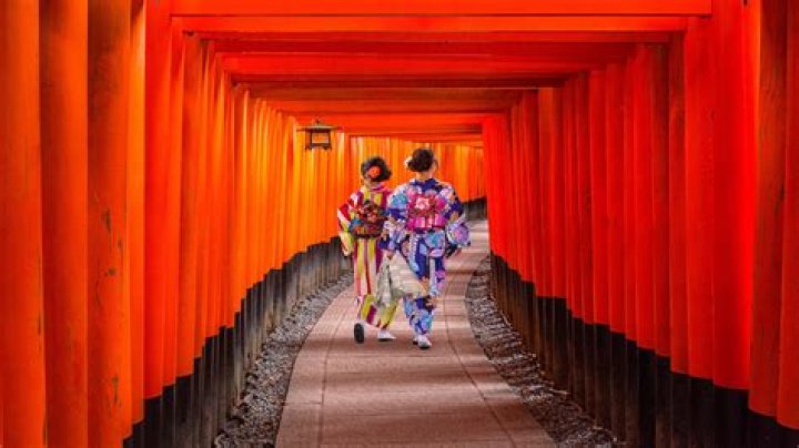 Discovering the Charm of Ippa Japan: A Cultural Journey