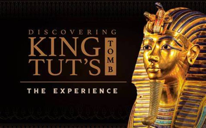 Discovering Vegas NL: A Journey Through Entertainment and Culture