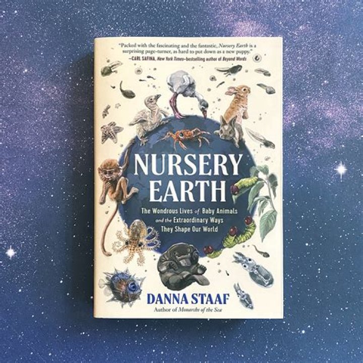Discovering Yumieto OnlyFans: A Journey into the World of Exclusive Content