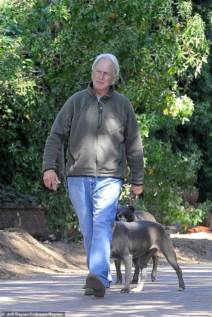 Exploring Mark Harmon’s Health Journey