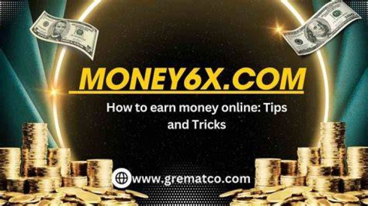 Exploring the Dynamics of Money6x.com Sharing Economy