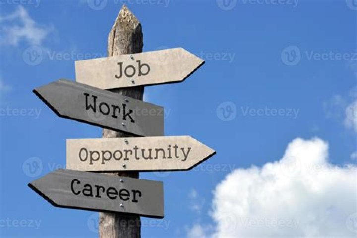 Exploring the Life and Opportunities of Erin Jobs