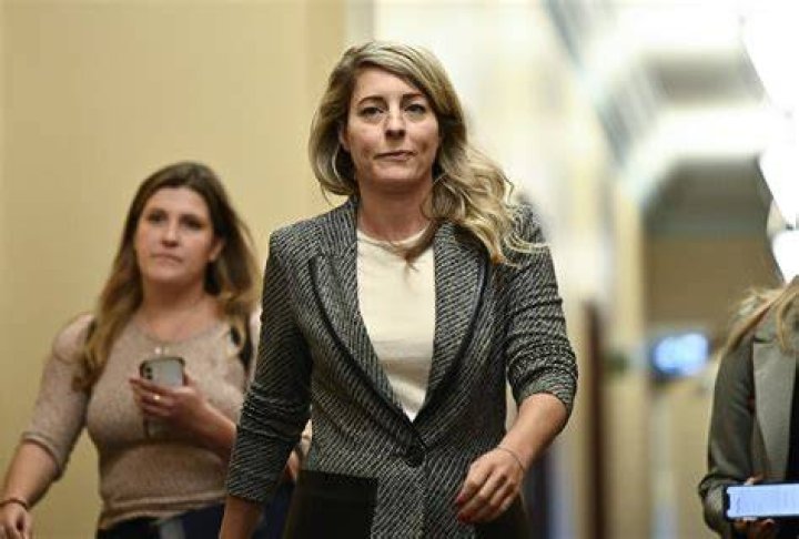 Exploring the Life of Melanie Joly's Husband: A Peek Behind the Curtain