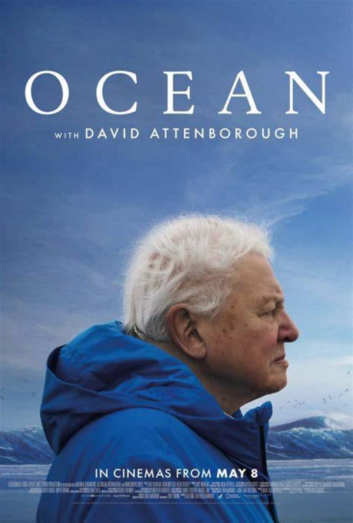 Exploring the Ocean of Movies: A Journey Through Cinematic Wonders