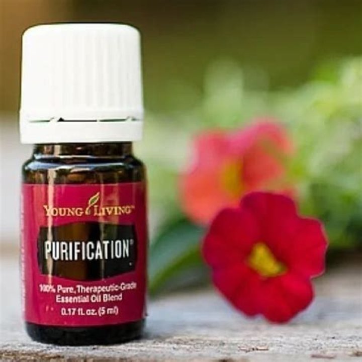 Exploring the Safety of Ingesting Purification Essential Oil