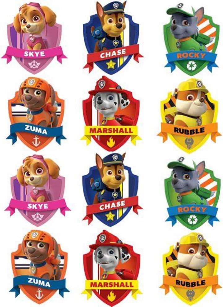 Exploring the Vibrant World of Paw Patrol Names