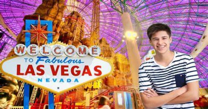 Exploring the Vibrant World of Vegas Net In