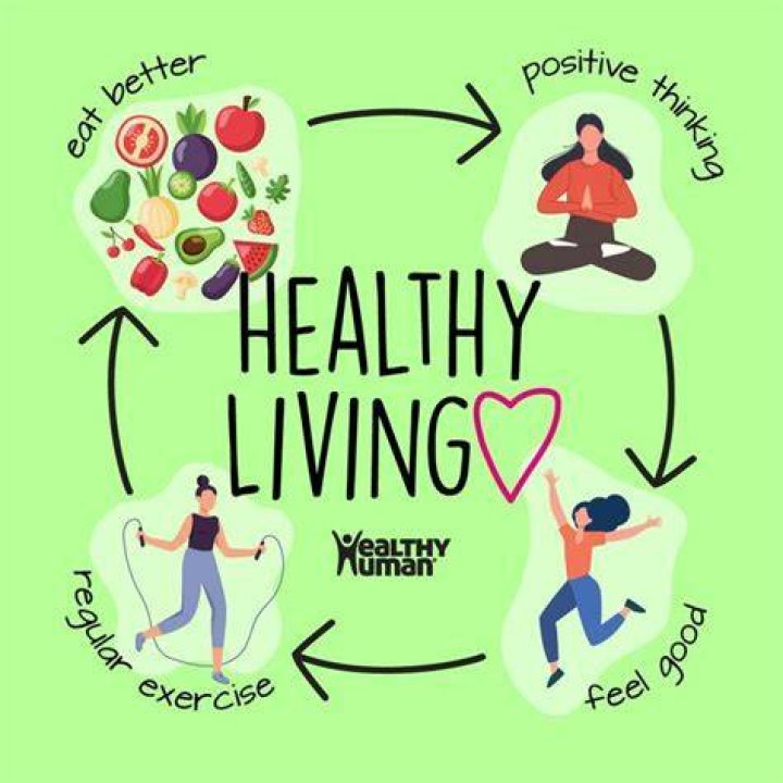 Exploring the World of Vegamoves: A Unique Approach to Healthy Living