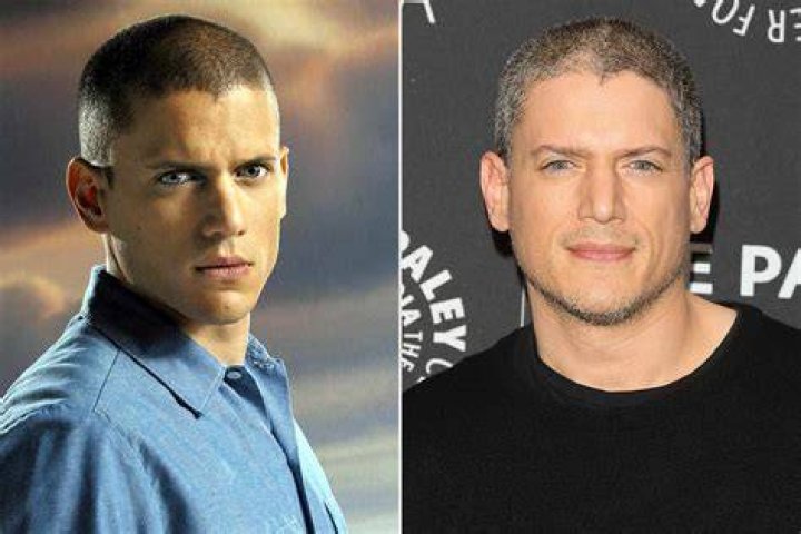 Exploring Wentworth Miller's Role in The Flash