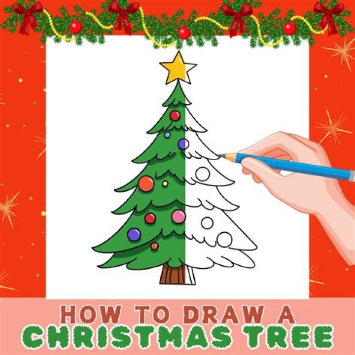 Finding the Perfect Xmas Tree Sale Near Me: A Comprehensive Guide