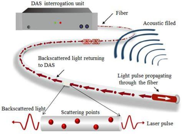 HSODA-035: Exploring the Depths of High-Speed Optical Data Acquisition