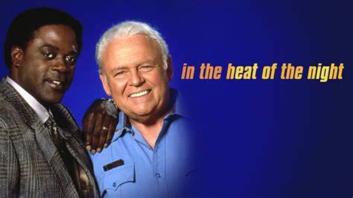 In the Heat of the Night TV Show Cast: Stars & Roles