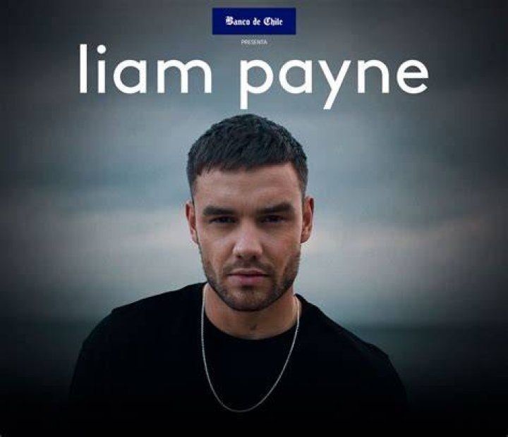 Liam Payne's Song About Cheryl: Uncovered!