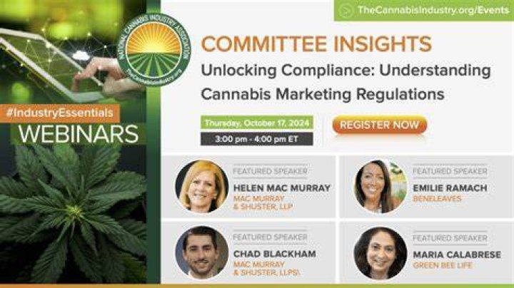 Marijuana SEO Services: Unlocking the Potential of Cannabis Marketing