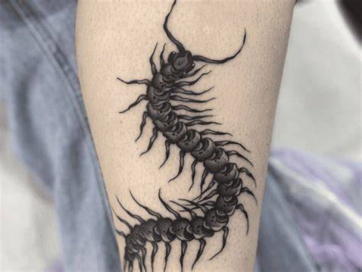 Meaning of Lana Rhoades Tattoo: A Deep Dive into Her Ink and Symbolism