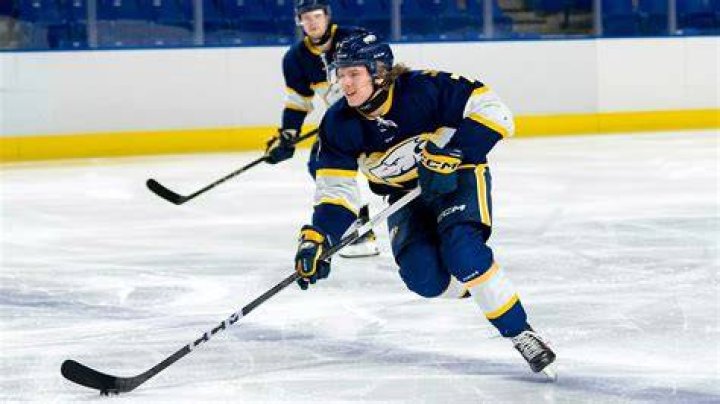 Michigan Tech Huskies Hockey: Season Highlights & News