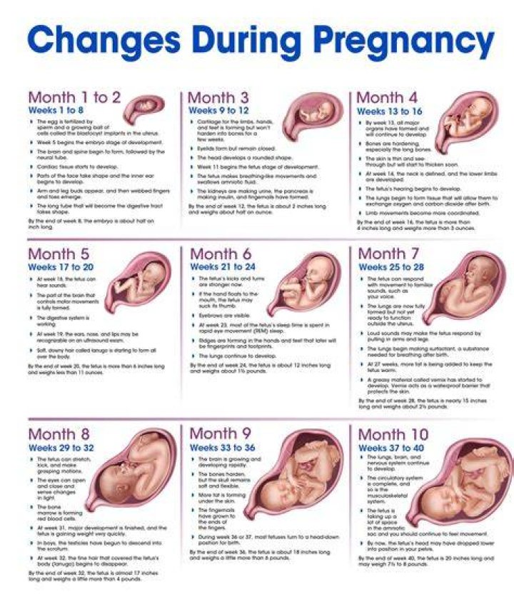 Pam's Journey Through Pregnancy in the Office: Navigating Challenges and Celebrating Triumphs