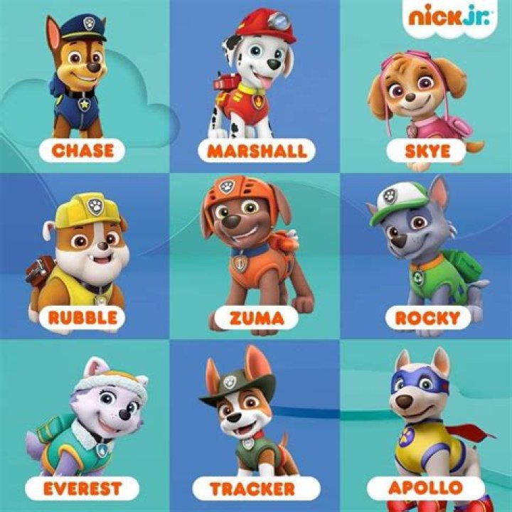Paw Patrol Characters Names: Meet the Brave Pups of Adventure Bay