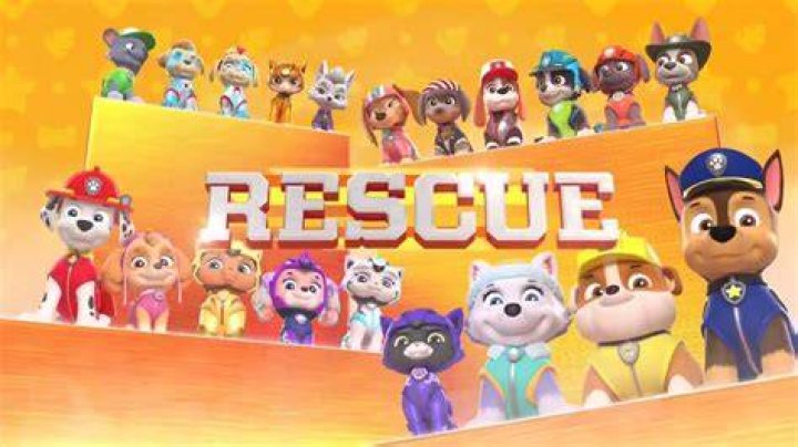 Paw Patrol Names: A Deep Dive into Adventure Bay's Favorite Heroes