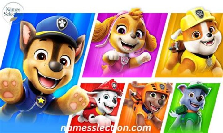 Paw Patrol Names of Characters: A Comprehensive Guide