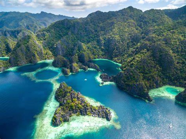 Plant-Powered Vegan Paradise: Island Adventures in the Philippines
