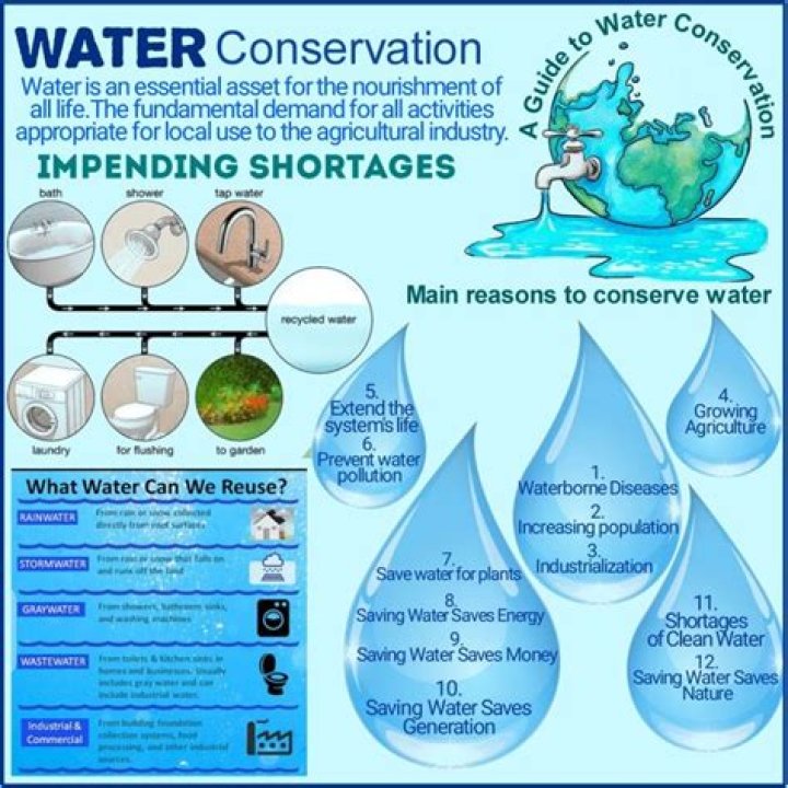 Quiero Aqua: The Ultimate Guide to Water Conservation and Its Importance