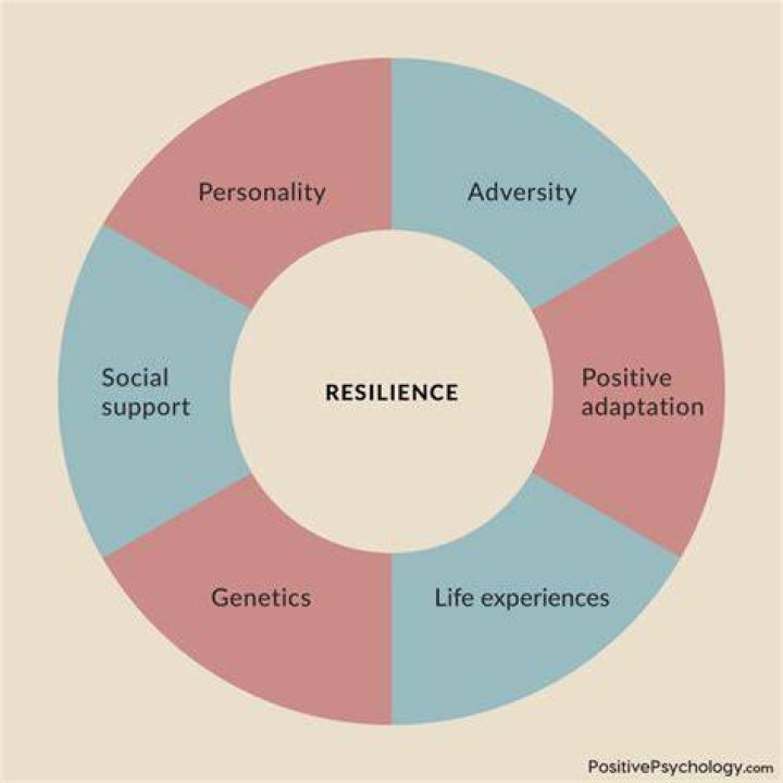 Redmond O'Neal 2024: A Journey Through Life and Resilience