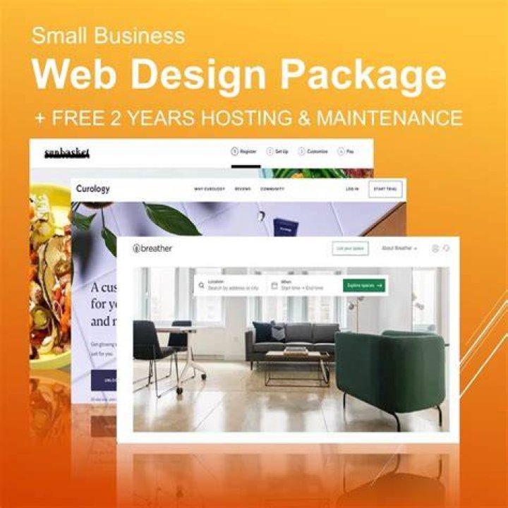 Revolutionize Your Small Business Web Design in Denver