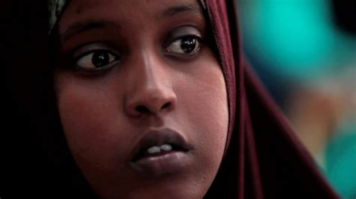 Sheeko Wasmo Somali Ah: The Vibrant Voice of Somali Music