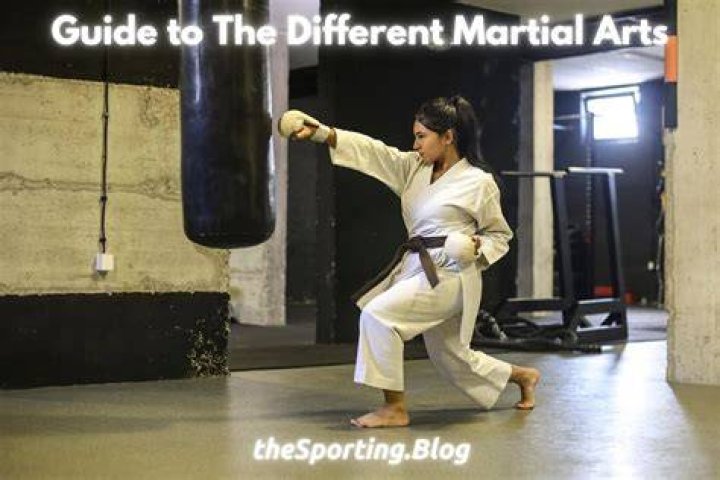 Terasaki Budokan: Experience the Art of Martial Arts