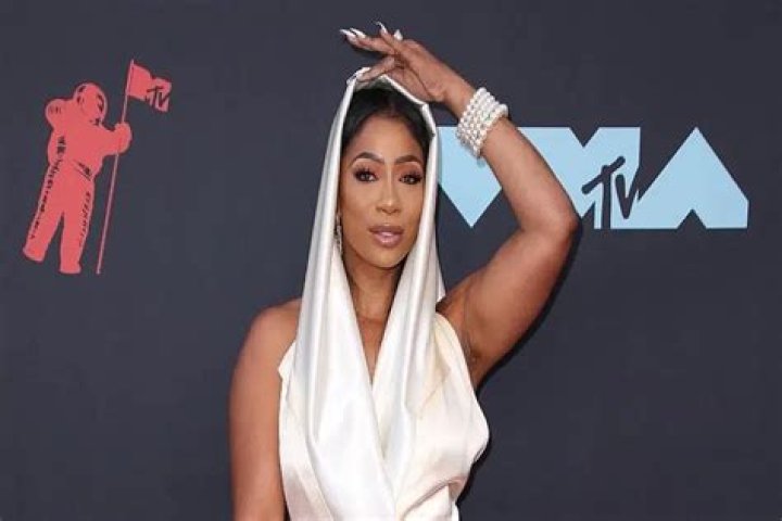 The Rise and Fame of Tommie Lee: A Reality Star's Journey