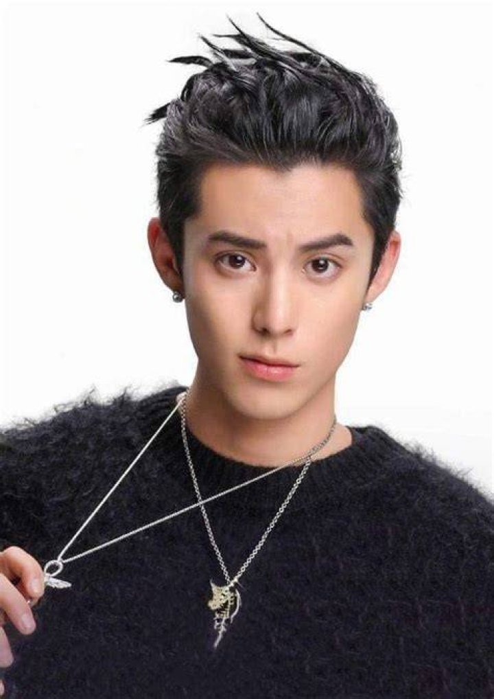 **The Rise of Dylan Wang: A Multifaceted Star**