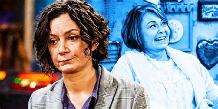 Uncovering the Actor Behind Fisher on Roseanne