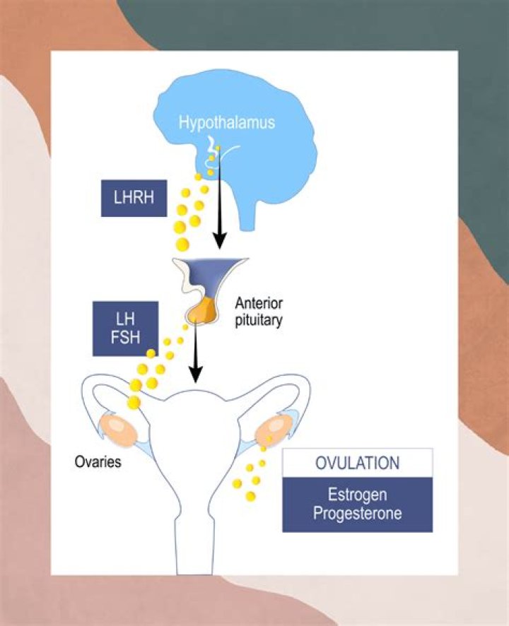 Understanding Precocious Puberty Through the Life of Lina Medina
