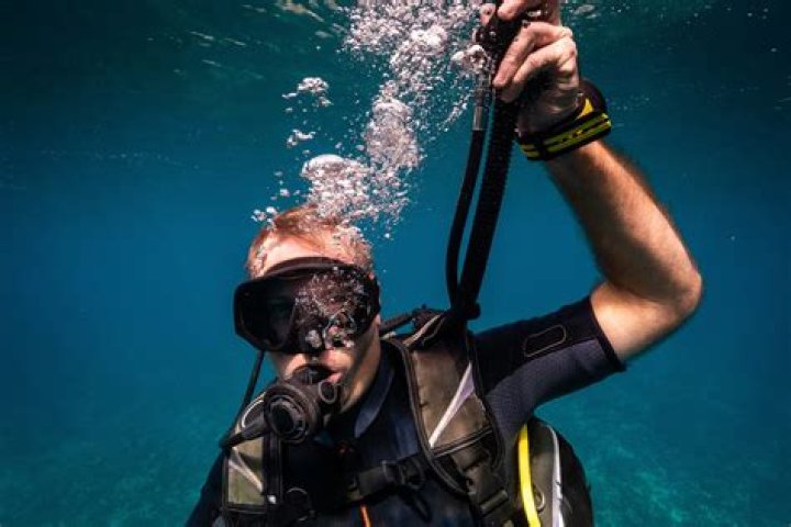 Understanding the Essential Role of Scuba Diving BCD in Underwater Adventures