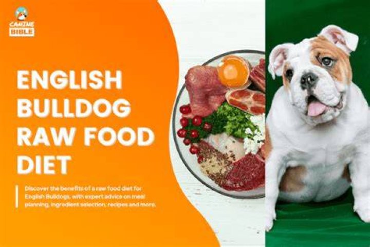 Understanding the Raw Dog Lifestyle: A Comprehensive Guide
