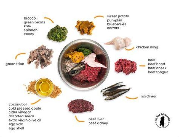 Understanding the Raw Dog Meaning: A Deep Dive into Its Implications