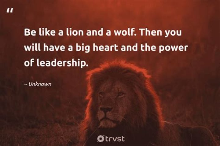Unleashing the Wild Side of Influence: The Phenomenon of Inflencergonewild