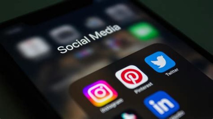 Unleashing the Wild Side of Social Media: An Insight into InfluencersGoneWild