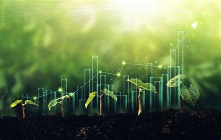Unlocking the Potential of Co-Firing: A Sustainable Energy Solution