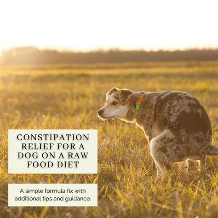 Unraveling the Meaning of "Raw Dog It": A Deep Dive