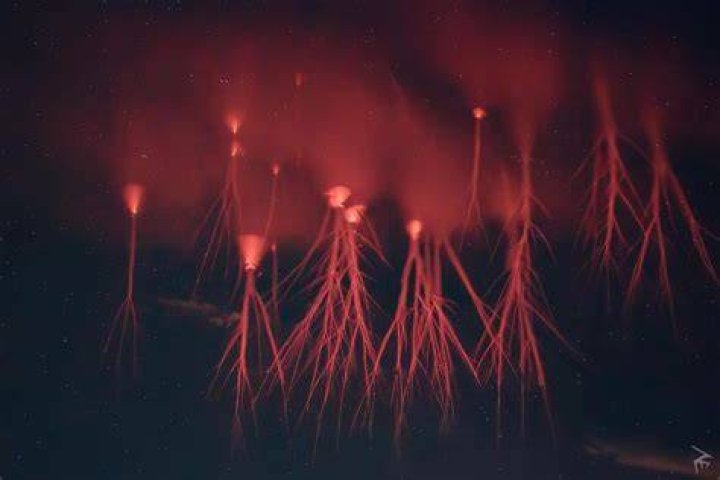 Unraveling the Phenomenon of InfluencesGoneWild